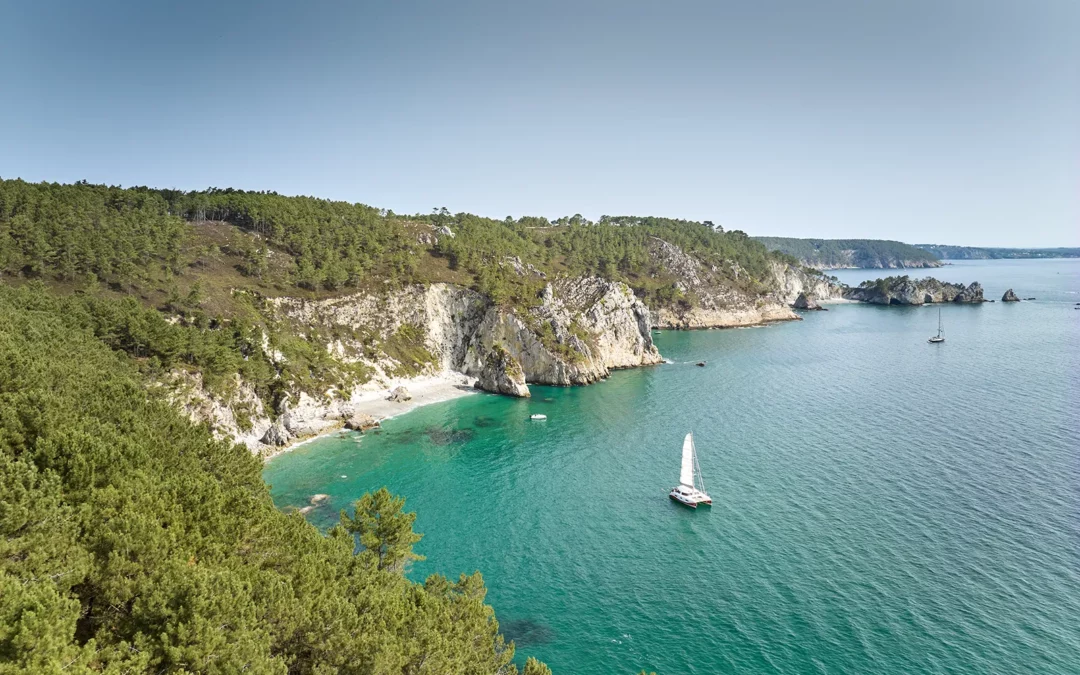 Prestations de GROUPES